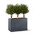 Plum Topiary in Modern Fiberstone Planter