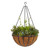 Bulk English Garden Hanging Baskets with Free Shipping when you buy 5 or more