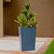 Manhattan Fiberglass Tapered Square Planter in dark gray- quick ship on patio area with brown wall in background