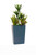 Manhattan Fiberglass Tapered Square Planter in dark gray- quick ship on white background