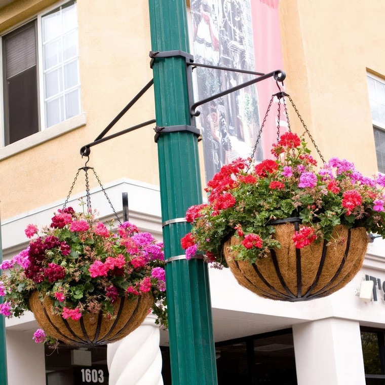 Two-Way Scroll Arm Lamp Post Bracket on green light post planted with red flowers