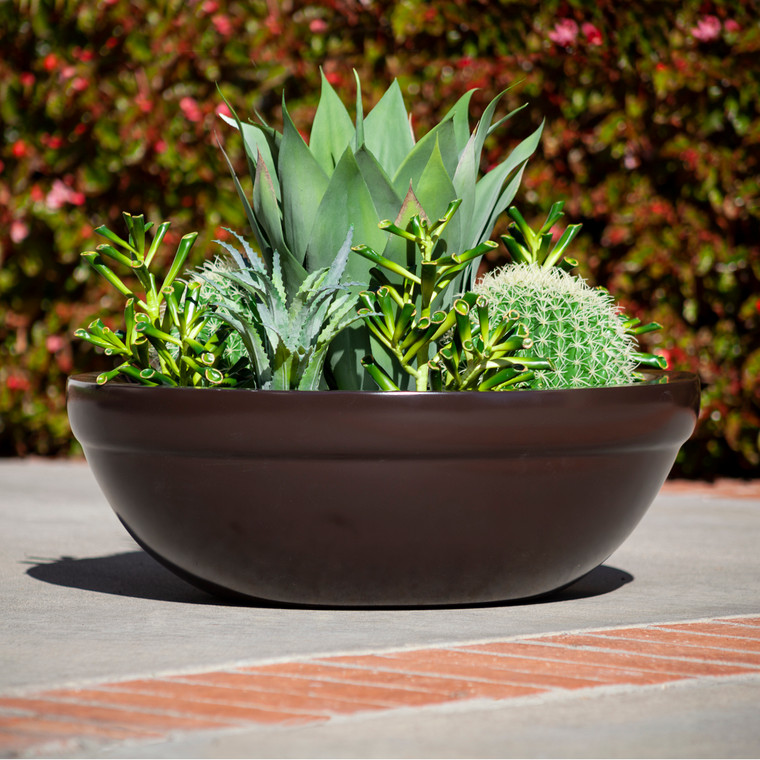 Balboa Fiberglass Low Bowl Planter planted with succulents
