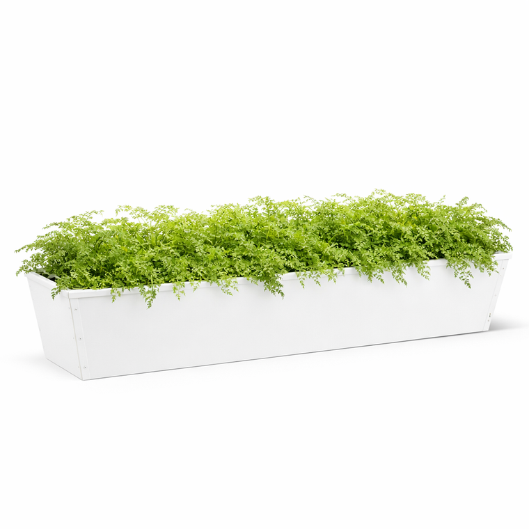 36" White Galvanized 2-in-1 Metal Tapered Window Box or Liner with lacy green plants
