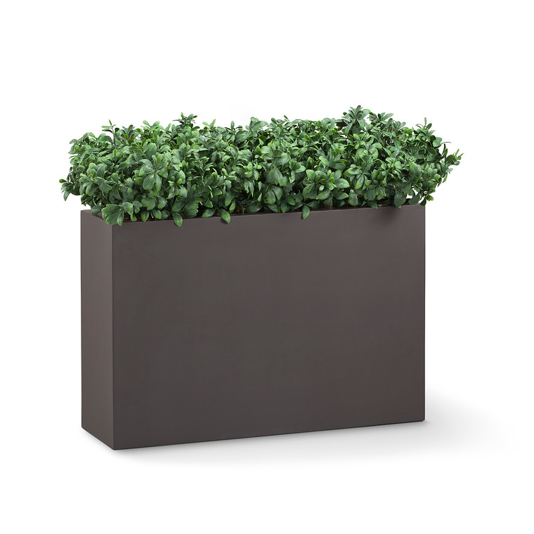 Ten azalea plants in a modern planter.