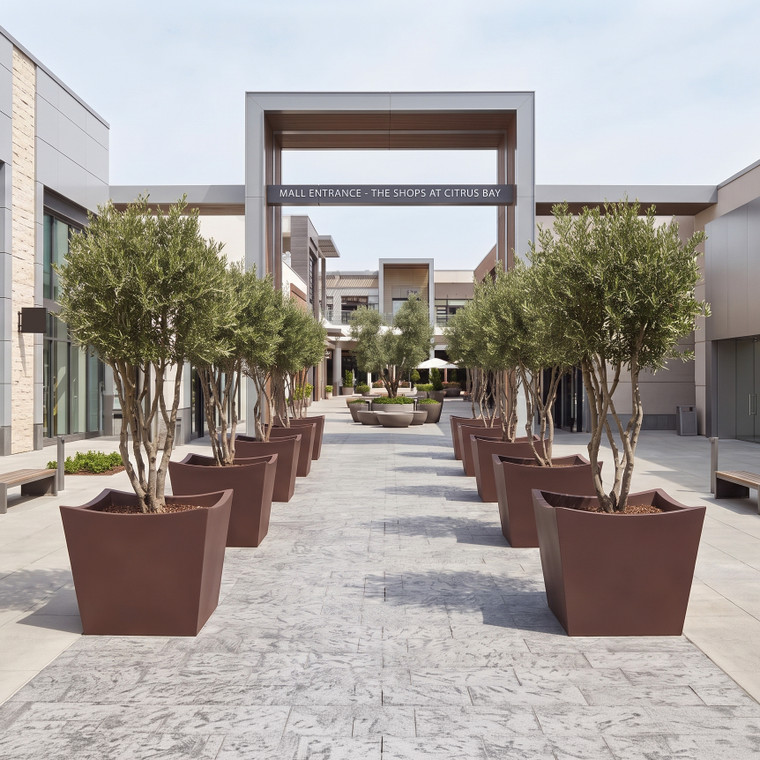 【AfricanSquare】オリーブナチュラルカッティングXL NO.26 Nazca Fiberglass Square Shape Planter in 9 Finishess