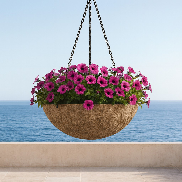 Primitive Hanging Basket in a seaside resort with ocean in background