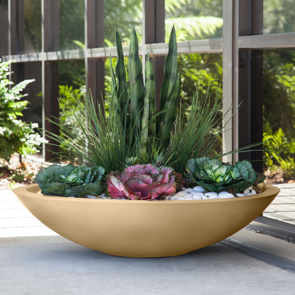 low-bowl-planter-succulents-grasses A Modern low bowl planter with succulents and grasses