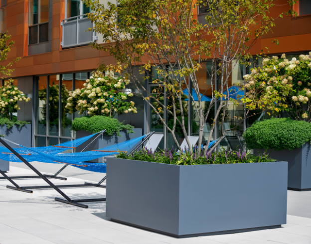 Landscape planters featuring trees and shrubs