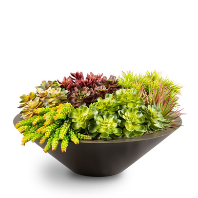Minimalist Look, Low Bowl Planter with Tapered Sides | Planters Minimalist Look, Low Bowl Planter with Tapered Sides | Planters