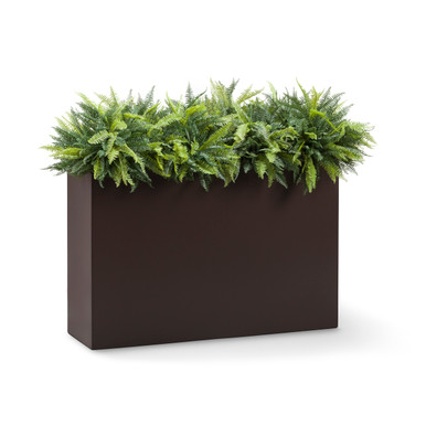 can you plant a lemon tree in a pot Meyer Lemon Tree