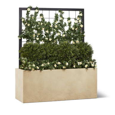Modern Fiberstone Planter in 10 Finishes- With Trellis Vine & Shrub Planting