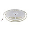Strisce LED Professional