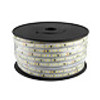 Strisce LED 220V