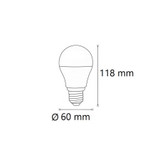 Lampadina LED E27 12W, 12/24V AC/DC, A60
