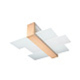 Plafoniere e Lampade da Soffitto