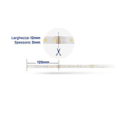 Kit Striscia LED 17W smart RGB+CCT Bianco Variabile e Dimmerabile WiFi - Amazon Alexa e Google Home