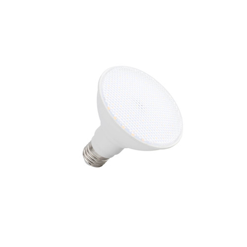 Lampada LED PAR30 12W, 110°