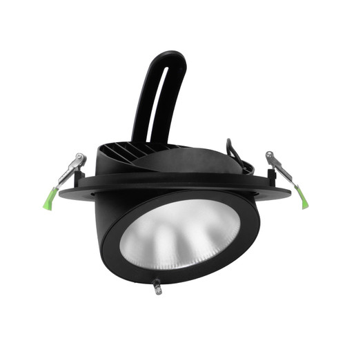 Faro LED Incasso 42W Nero Orientabile, Foro Ø210mm- PHILIPS Certadrive