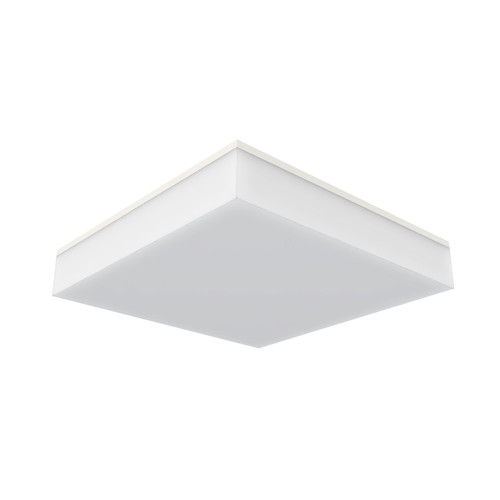 Bianco Bianco