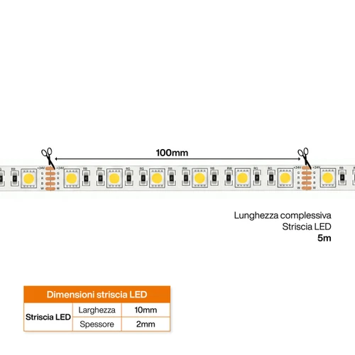 Striscia LED Professionale RGBW Multicolore 24V 17W/m - IP20 - 5 metri