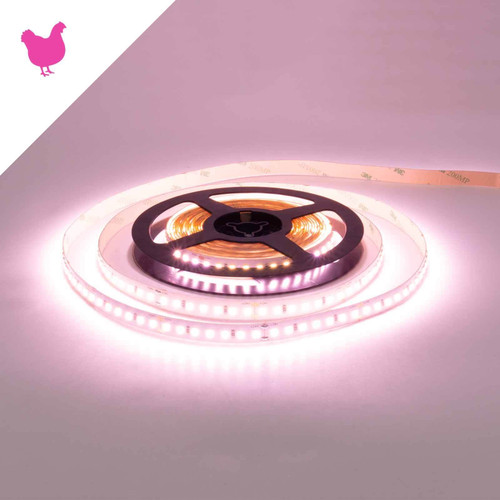 Striscia LED Professionale per banco carni Striscia LED Professionale per banco carni