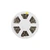 Striscia LED Professionale RGBW Multicolore 24V 17W/m - IP20 - 5 metri