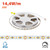 Striscia LED 24V 14,4W/m Rosa per Banco Carne Professionale - IP54 - 5 metri