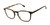 Black Tortoise Angle View