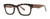 Brown Beige Tortoise Front View