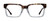 Tortoise Grey Gradient Front View