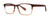 Red Stripe Tortoise Main View