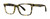 Lime Tortoise Main View