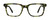 Lime Tortoise Front View