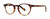 Burgundy Tokyo Tortoise Main View
