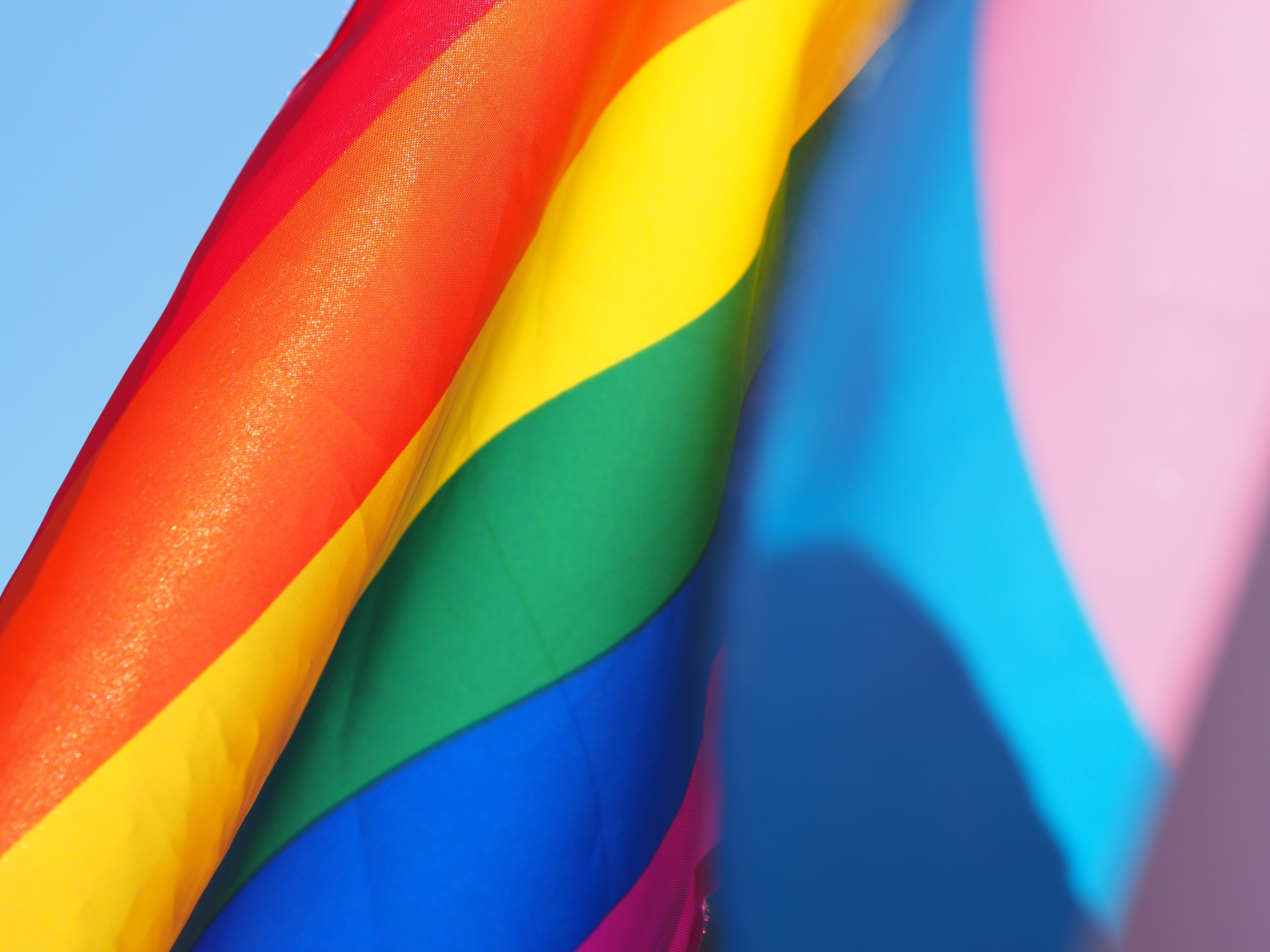 SCOJO Stands With Pride Alongside LGBTQIA+ Community