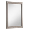 Isla Champagne Silver Rectangular Mirror