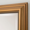 Franz Gold Framed Mirror