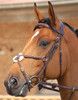 Dy’on Collection Figure 8 Noseband Bridle