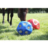 Hay Ball Feeder - Blue