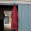 EquiGrip Maxi - Magnetic Tack Peg