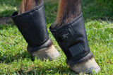 For the HORSE - Leg Protection - Snaffle-it Horse Supplies