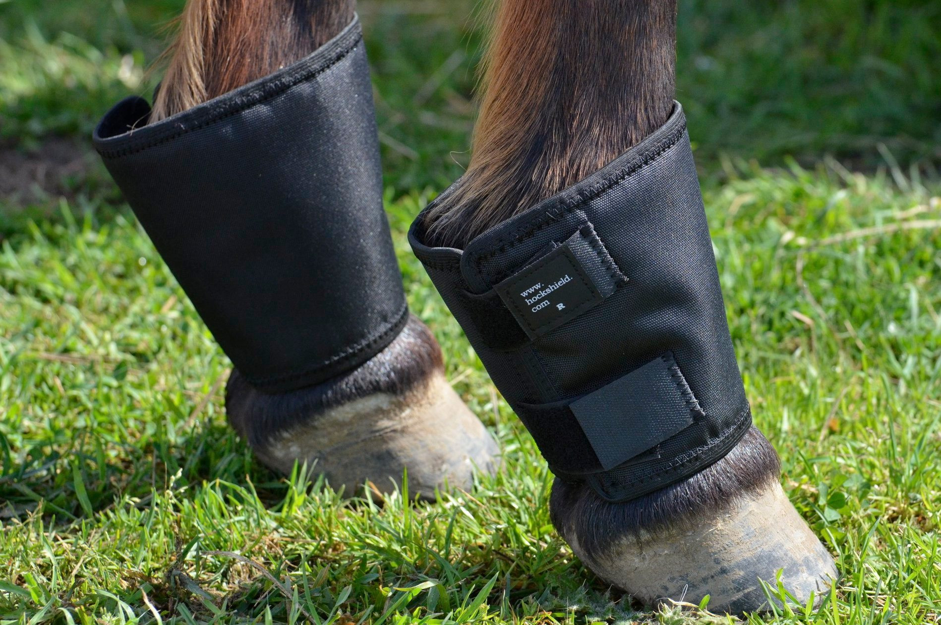 For the HORSE Leg Protection Snaffleit Horse Supplies