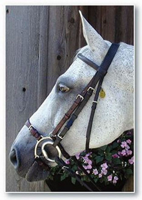 Adjustable Lever Noseband