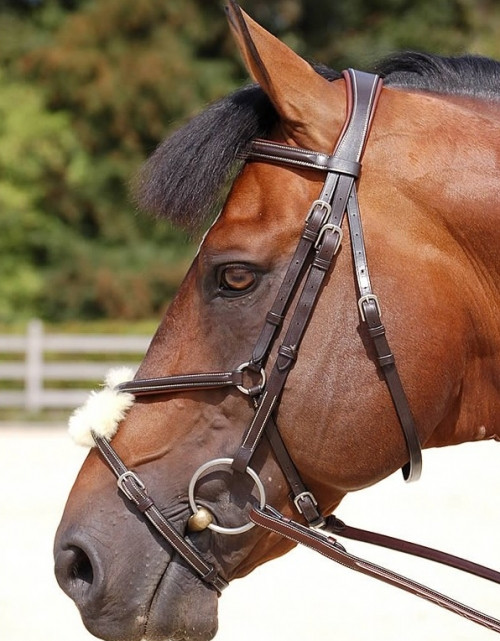 Dy'on Working Collection 'Classic' Figure 8 Bridle