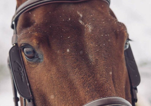 Dy'on Focus Cheek Pieces - Full 