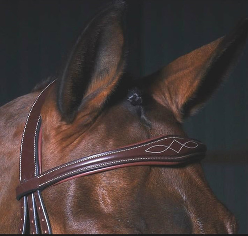 Dy'on Anatomic Flash Noseband Bridle with Fancy Stitching