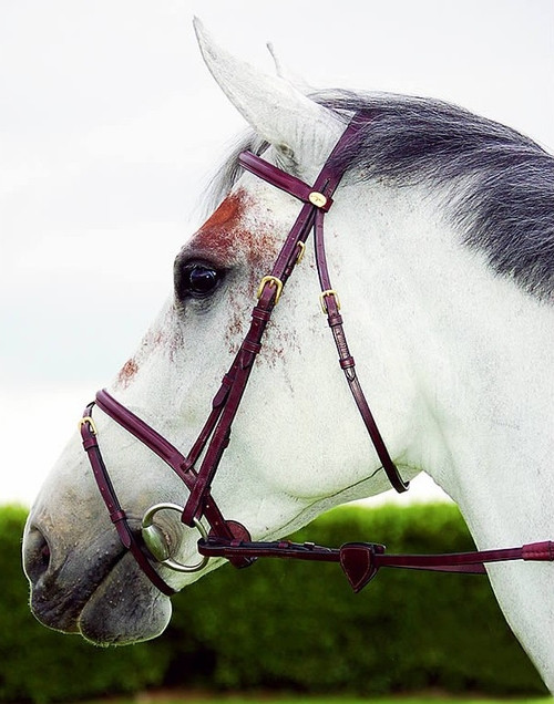 Dy’on English Collection Flash Noseband Bridle