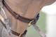 Dy’on Collection Double Noseband