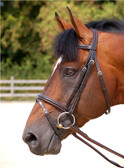 Dy'on Working Collection 'Classic' Flash Bridle