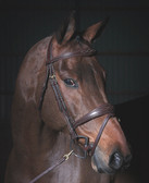 Dy'on Anatomic Flash Noseband Bridle with Fancy Stitching